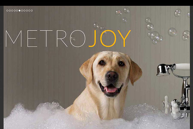 Full Service Website Design - Metro 9 Dog
