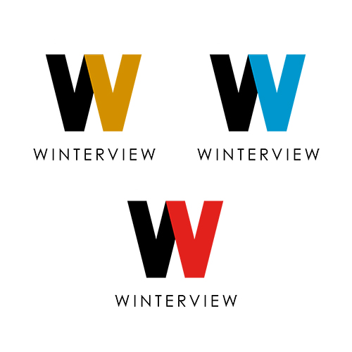 Logo design and branding for WinterView Group, a firm that provides consulting CFO and COO services