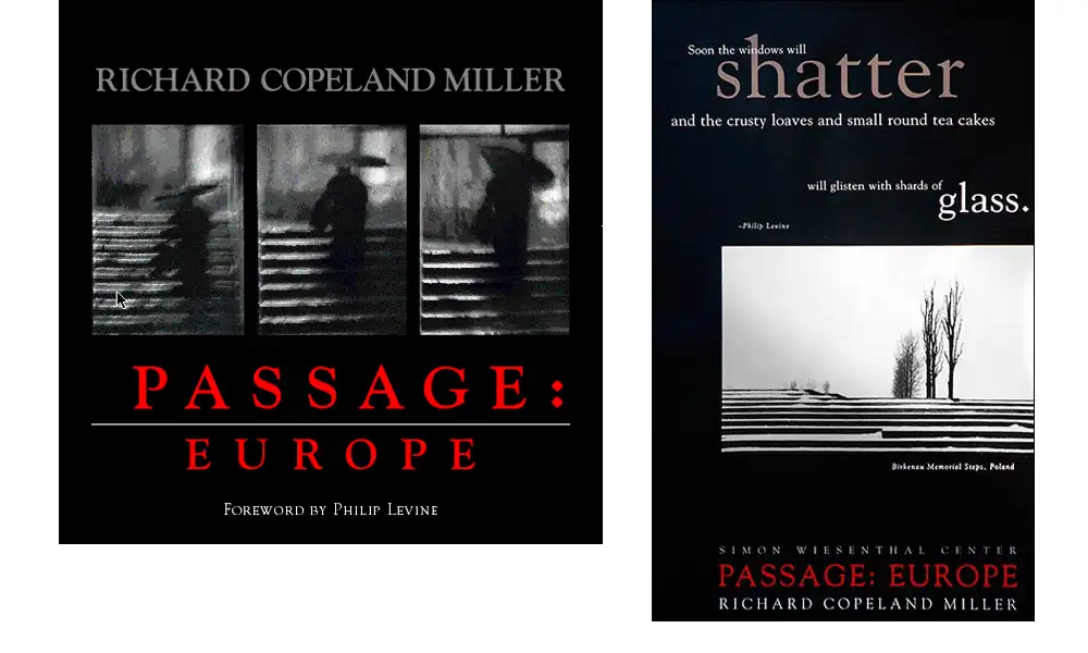 Passage Europe book cover and poster