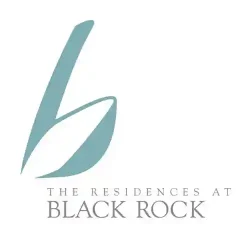 black rock logo